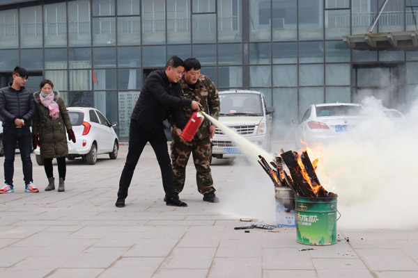 1953535.jpg 1953535.jpg